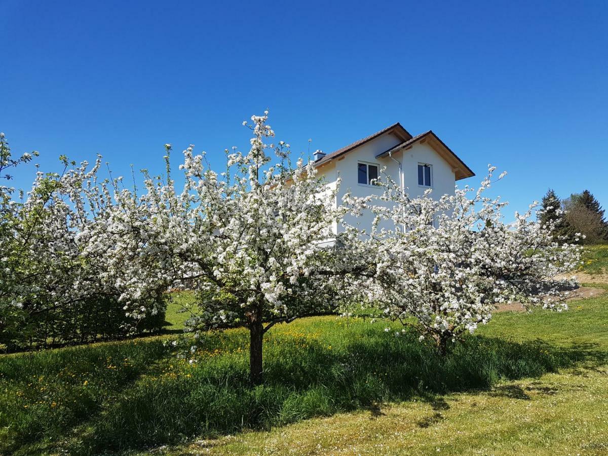 Ferienwohnung Buehlingen Ротвайль Экстерьер фото